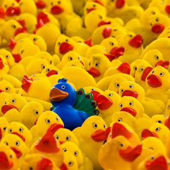 A blue peacock toy stands out among a sea of yellow rubber ducks, showcasing individuality and humor.